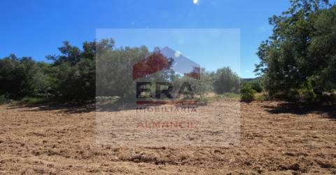 Terreno Rústico  Venda em Santa Bárbara de Nexe,Faro