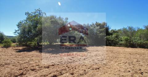 Terreno Rústico  Venda em Santa Bárbara de Nexe,Faro