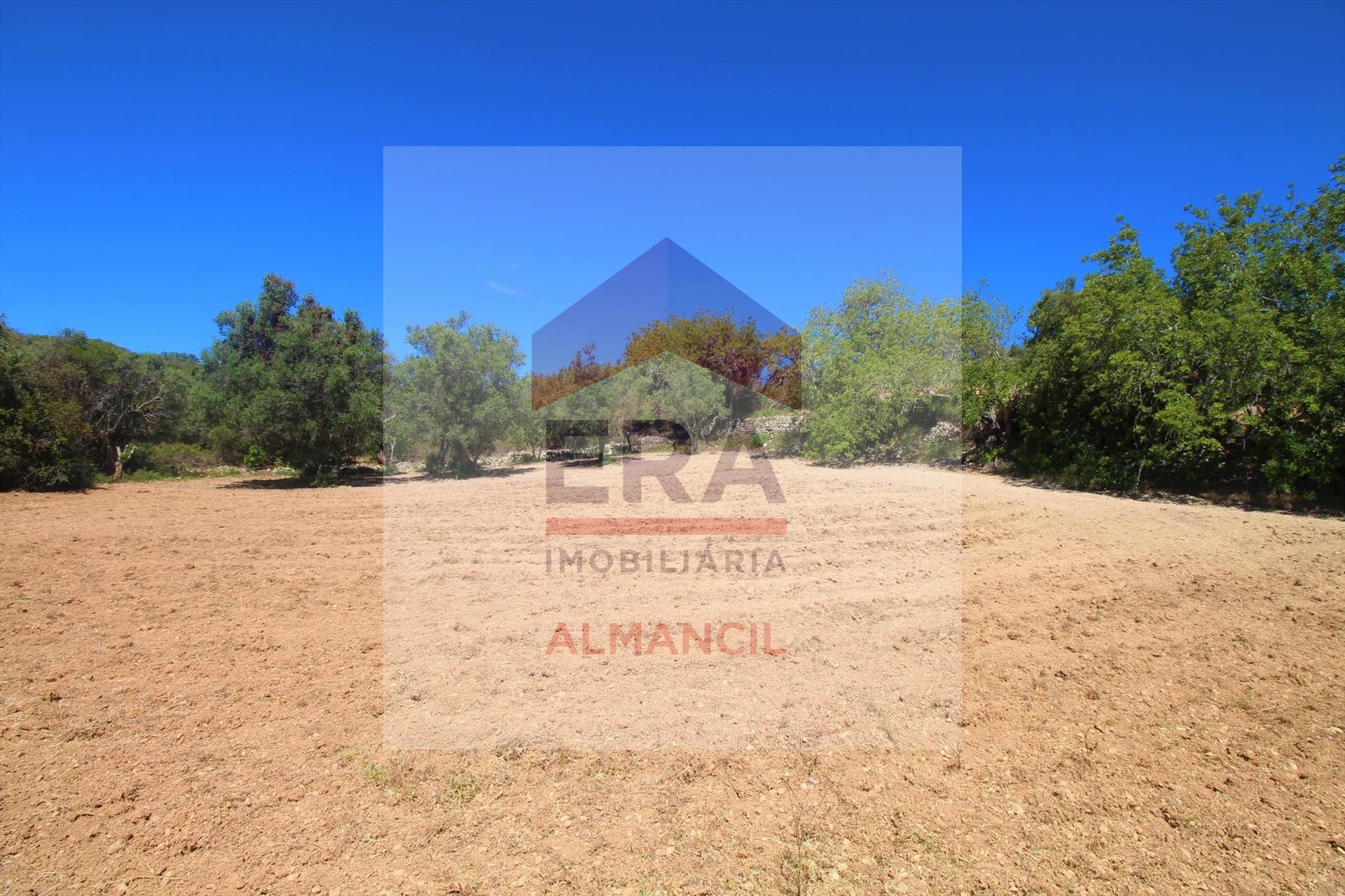 Terreno Rústico  Venda em Santa Bárbara de Nexe,Faro