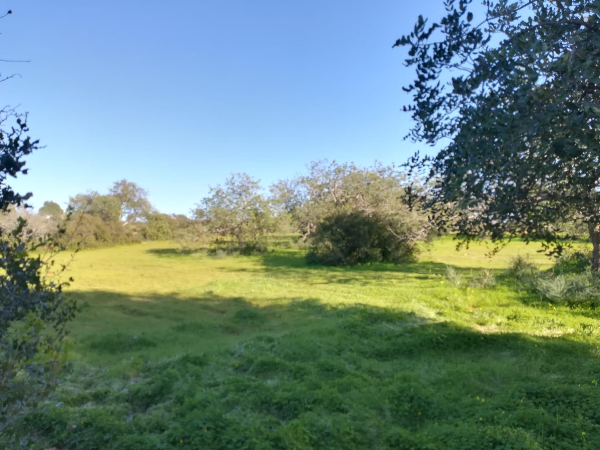 Terreno Urbano  Venda em Almancil,Loulé