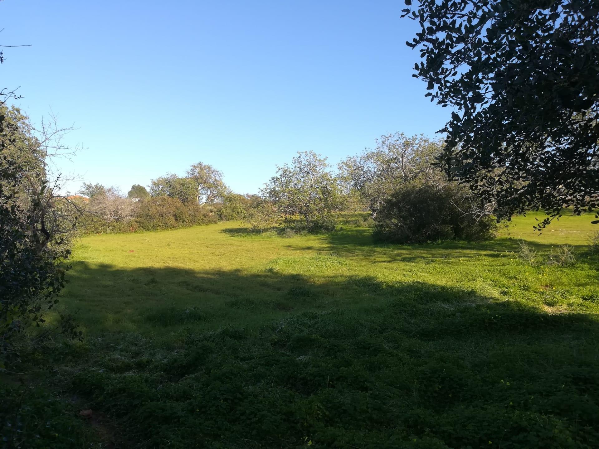 Terreno Urbano  Venda em Almancil,Loulé