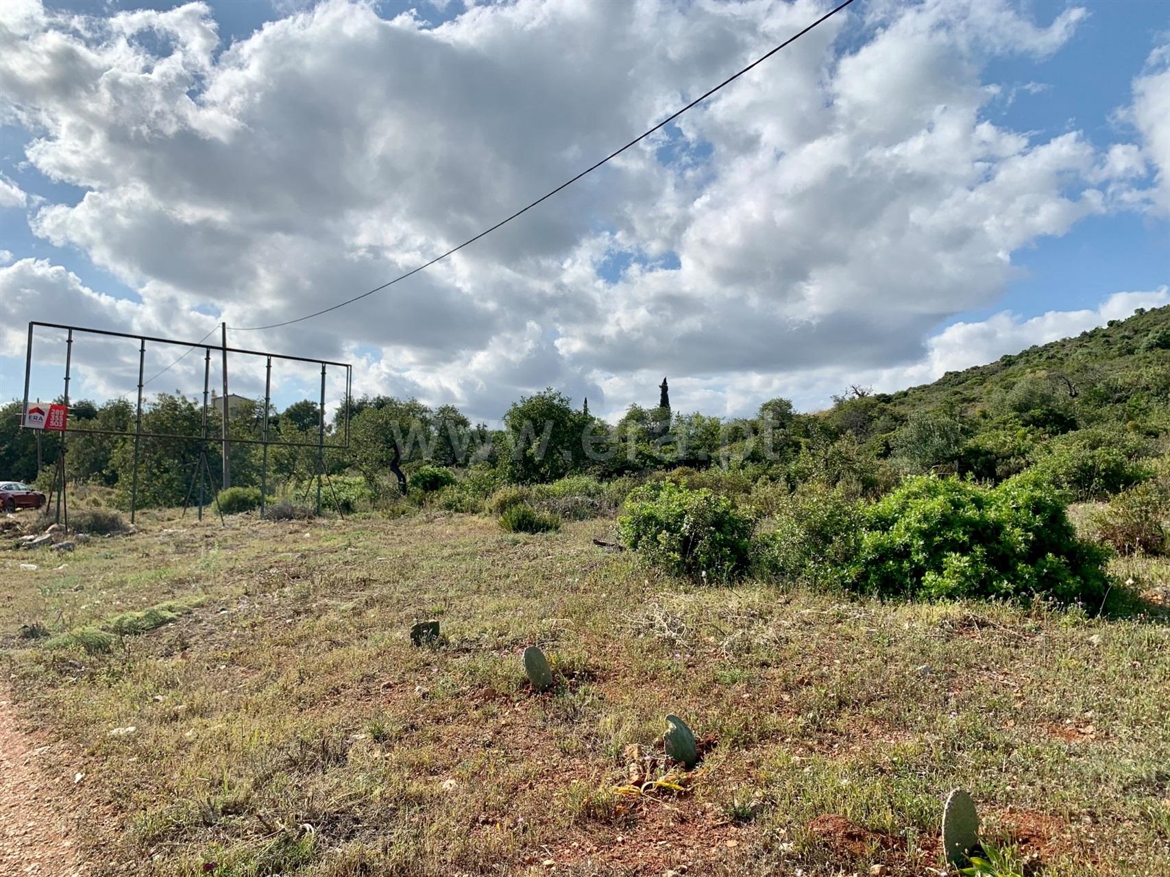 Terreno Rústico  Venda em Santa Bárbara de Nexe,Faro