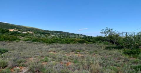 Terreno Rústico  Venda em Santa Bárbara de Nexe,Faro