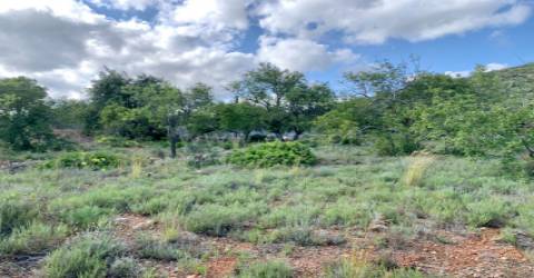 Terreno Rústico  Venda em Santa Bárbara de Nexe,Faro