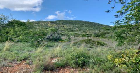 Terreno Rústico  Venda em Santa Bárbara de Nexe,Faro