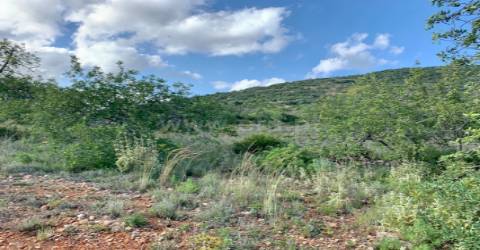 Terreno Rústico  Venda em Santa Bárbara de Nexe,Faro