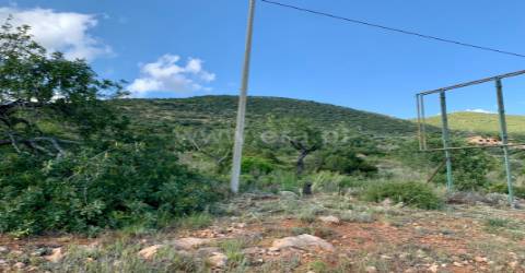 Terreno Rústico  Venda em Santa Bárbara de Nexe,Faro