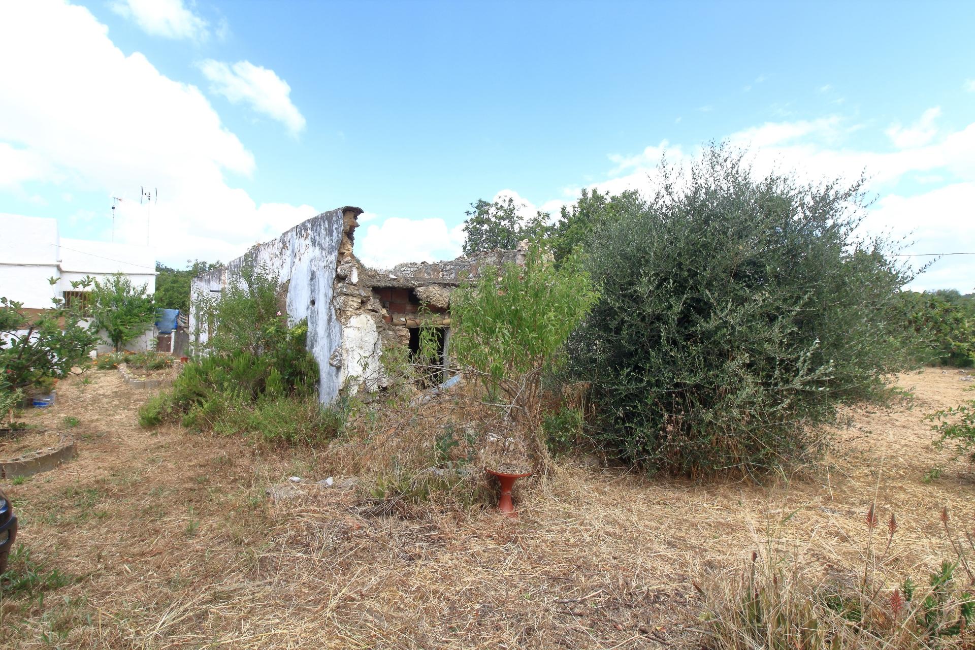 Terreno Misto  Venda em Santa Bárbara de Nexe,Faro