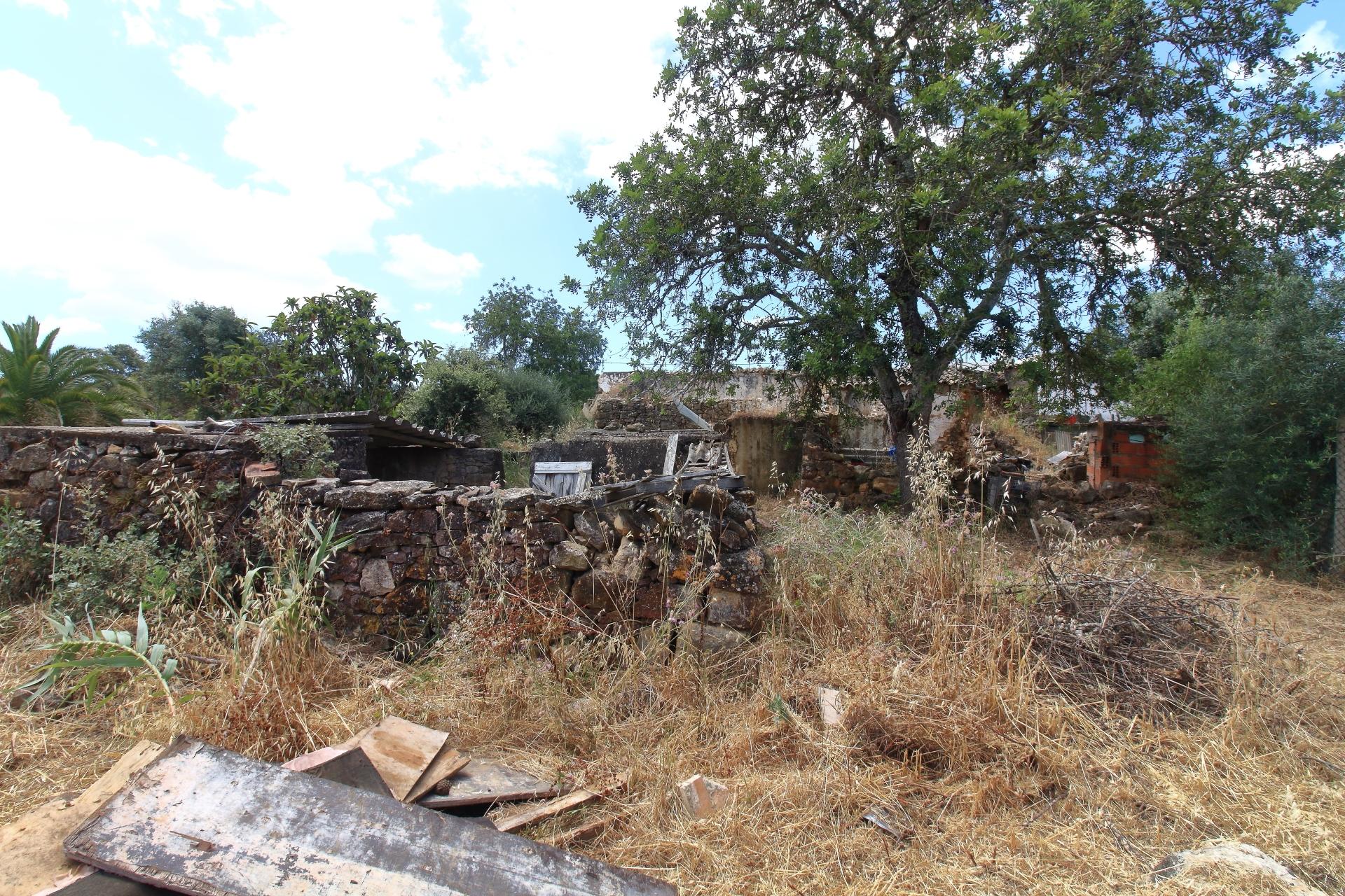 Terreno Misto  Venda em Santa Bárbara de Nexe,Faro