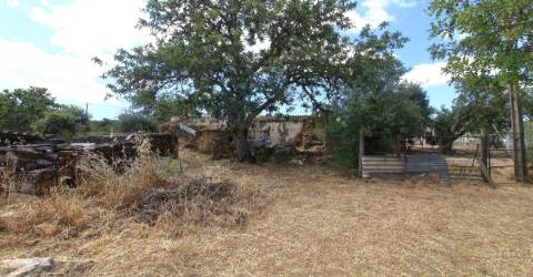 Terreno Misto  Venda em Santa Bárbara de Nexe,Faro