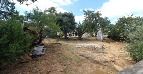 Terreno Misto  Venda em Santa Bárbara de Nexe,Faro