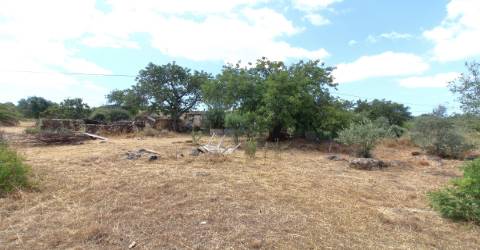 Terreno Misto  Venda em Santa Bárbara de Nexe,Faro