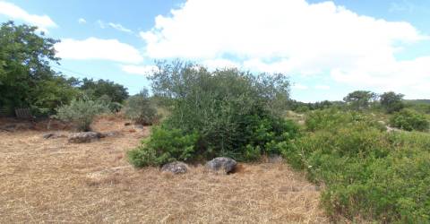 Terreno Misto  Venda em Santa Bárbara de Nexe,Faro