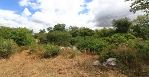 Terreno Misto  Venda em Santa Bárbara de Nexe,Faro