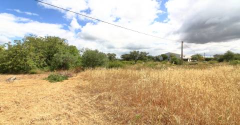 Terreno Misto  Venda em Santa Bárbara de Nexe,Faro
