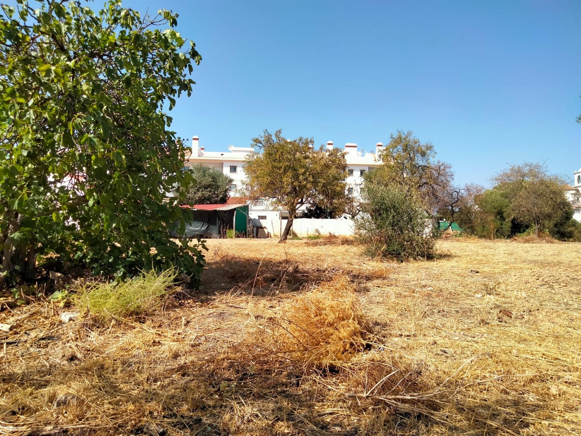 Terreno Para Construção  Venda em Almancil,Loulé