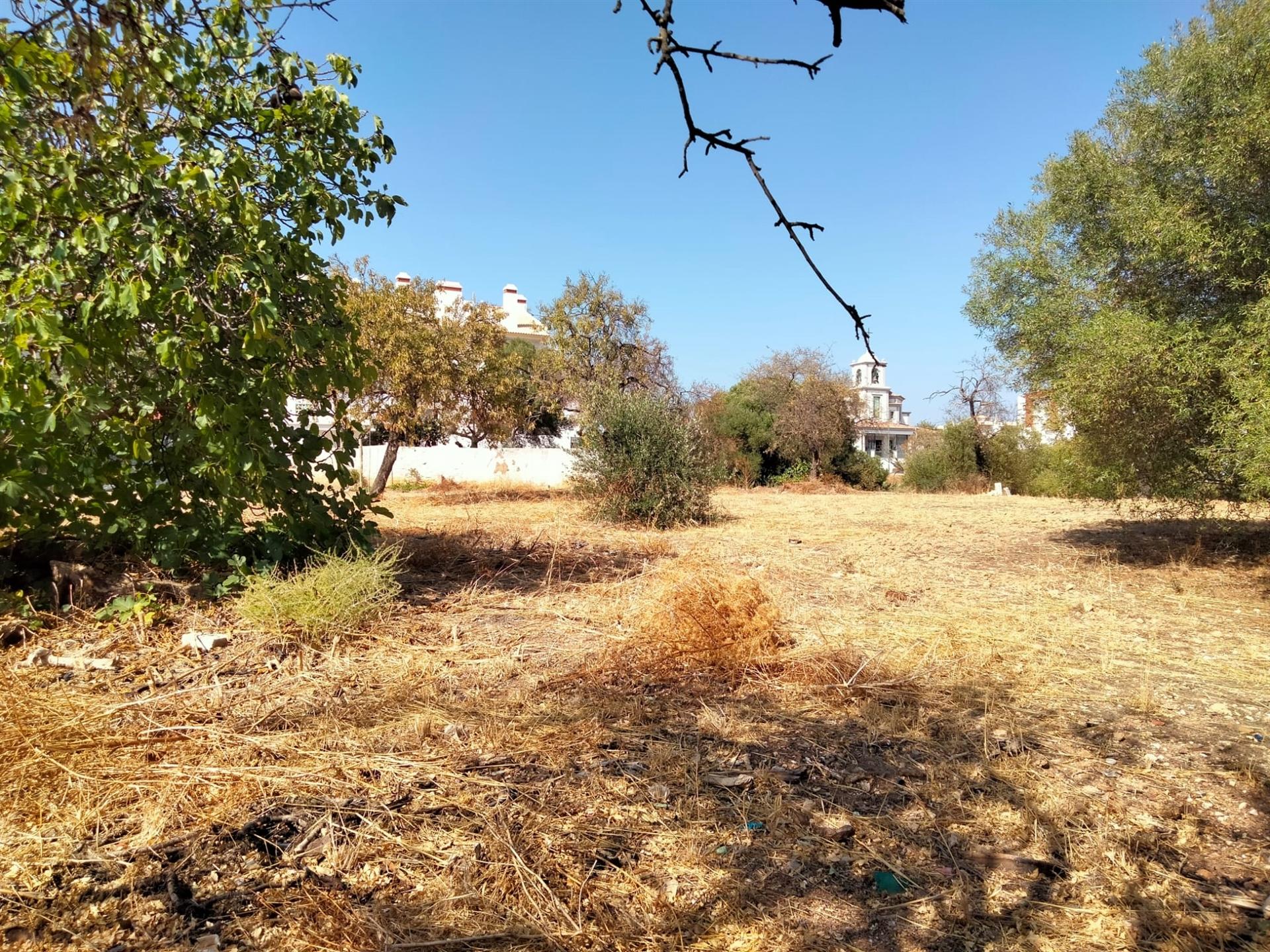 Terreno Para Construção  Venda em Almancil,Loulé