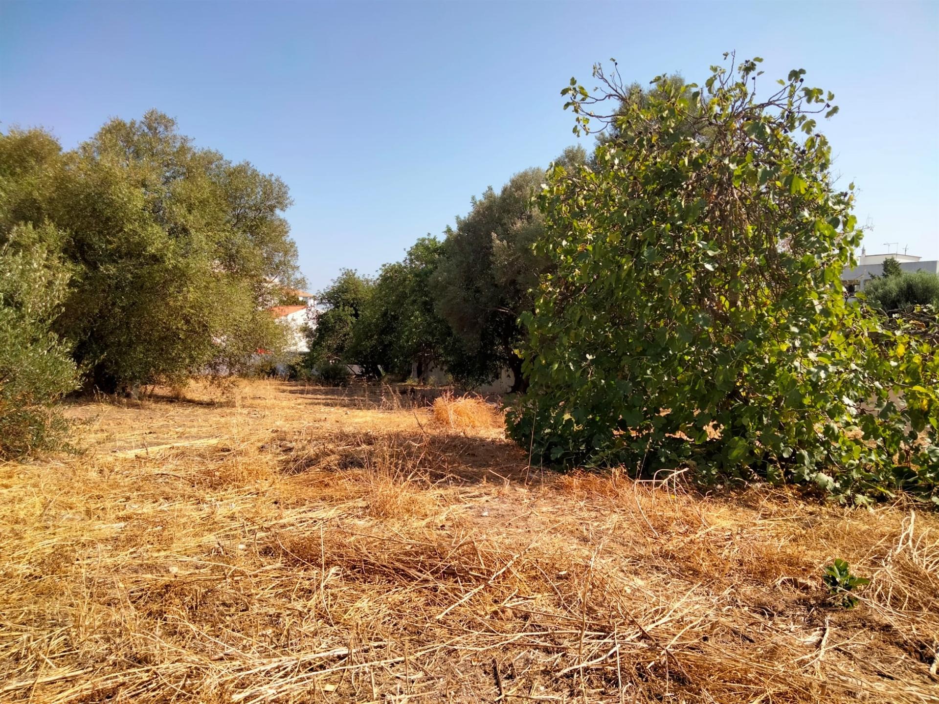 Terreno Para Construção  Venda em Almancil,Loulé