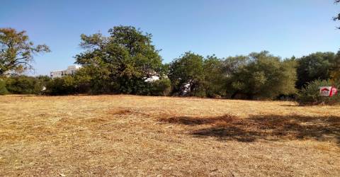 Terreno Para Construção  Venda em Almancil,Loulé