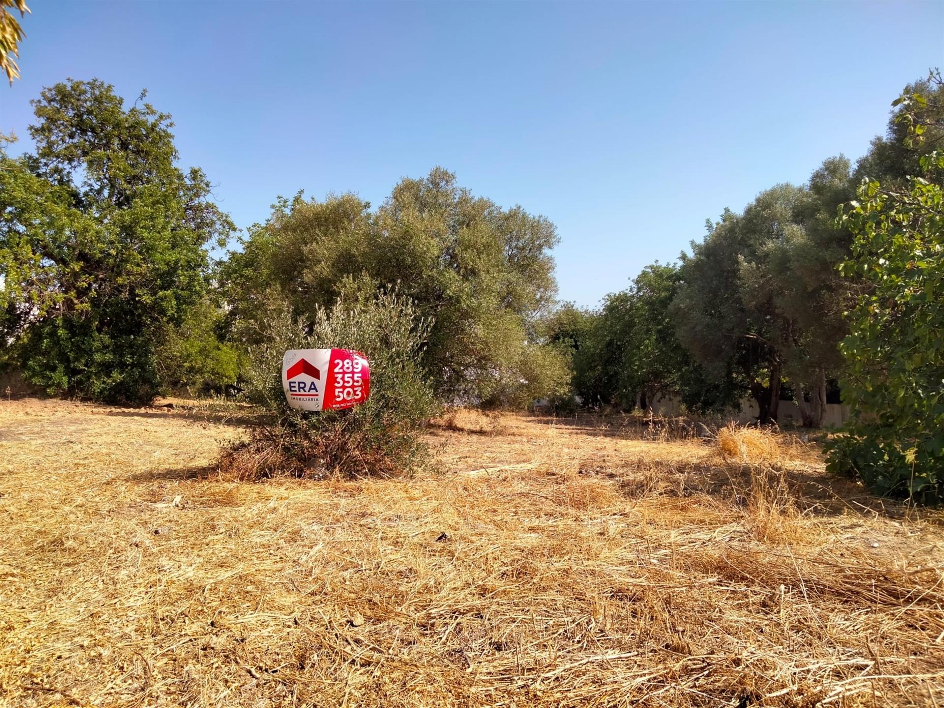 Terreno Para Construção  Venda em Almancil,Loulé