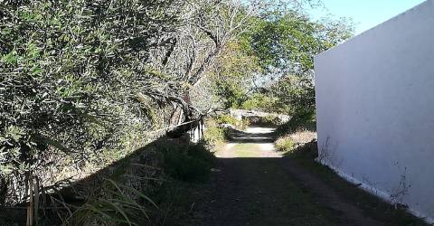Terreno Rústico  Venda em Loulé (São Clemente),Loulé
