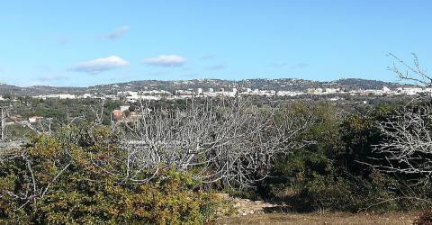 Terreno Rústico  Venda em Loulé (São Clemente),Loulé