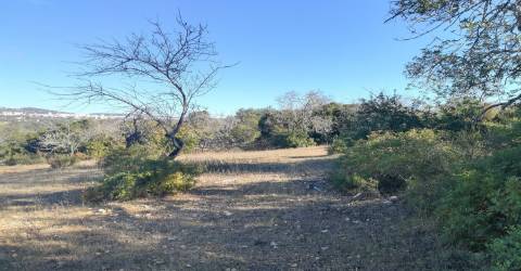 Terreno Rústico  Venda em Loulé (São Clemente),Loulé