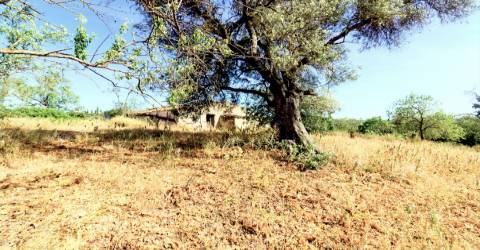 Moradia Devoluta  Venda em Boliqueime,Loulé