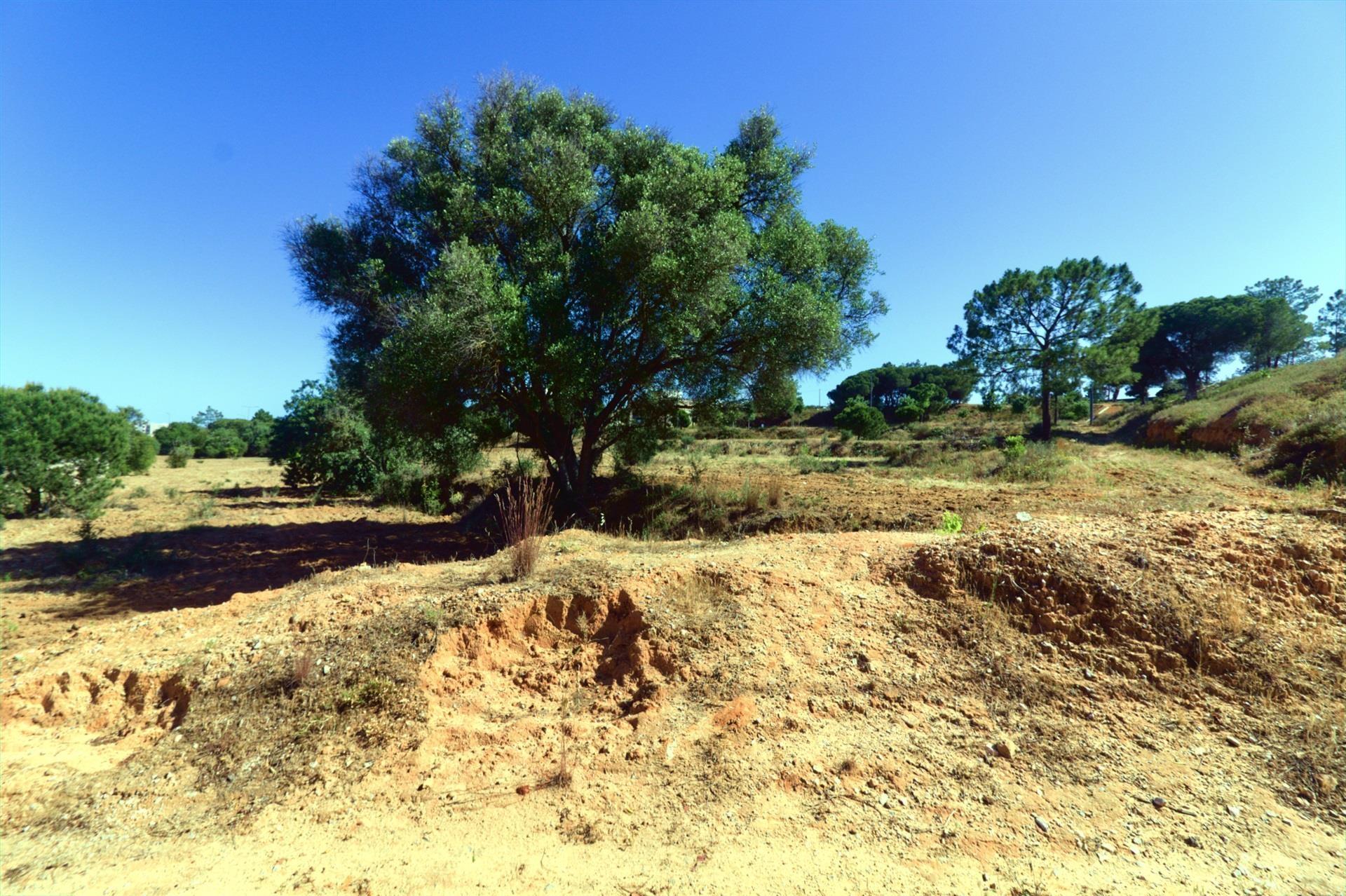 Terreno Para Construção  Venda em Quarteira,Loulé