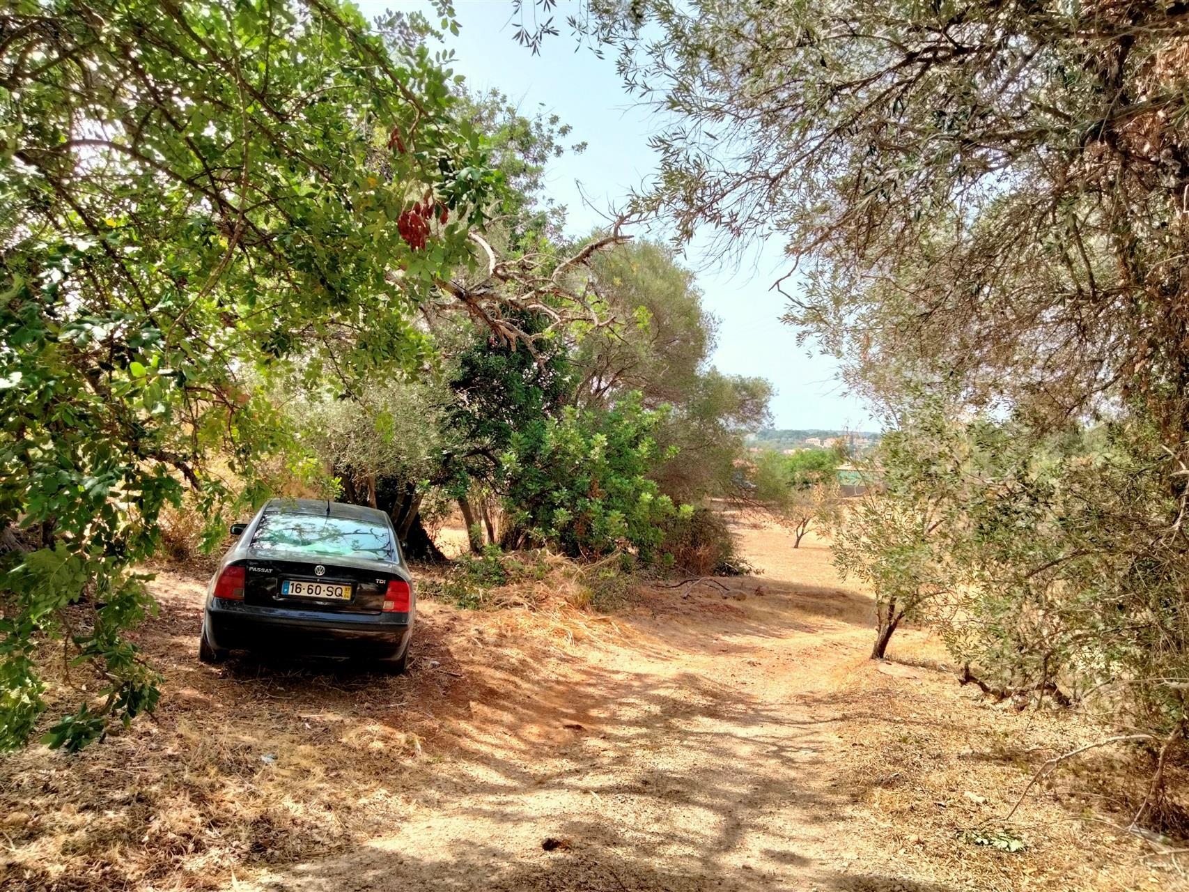 Terreno Para Construção  Venda em Loulé (São Sebastião),Loulé