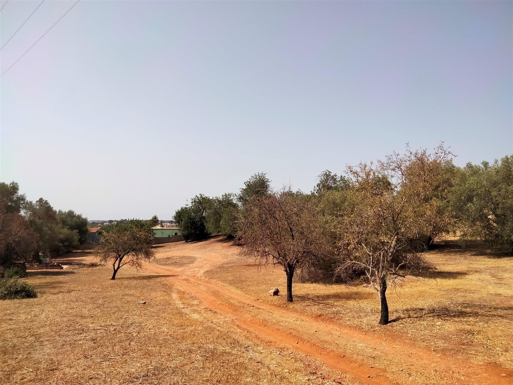 Terreno Para Construção  Venda em Loulé (São Sebastião),Loulé