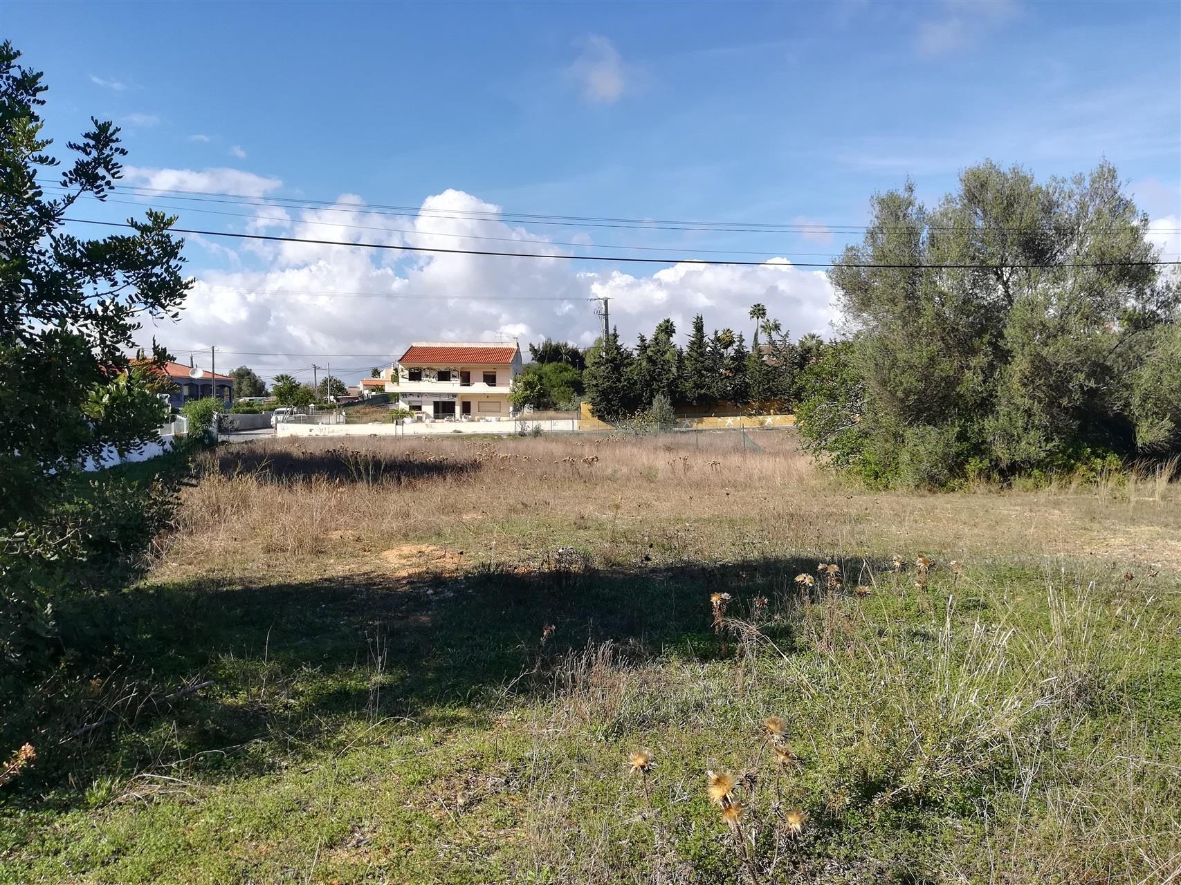 Terreno Para Construção  Venda em Almancil,Loulé