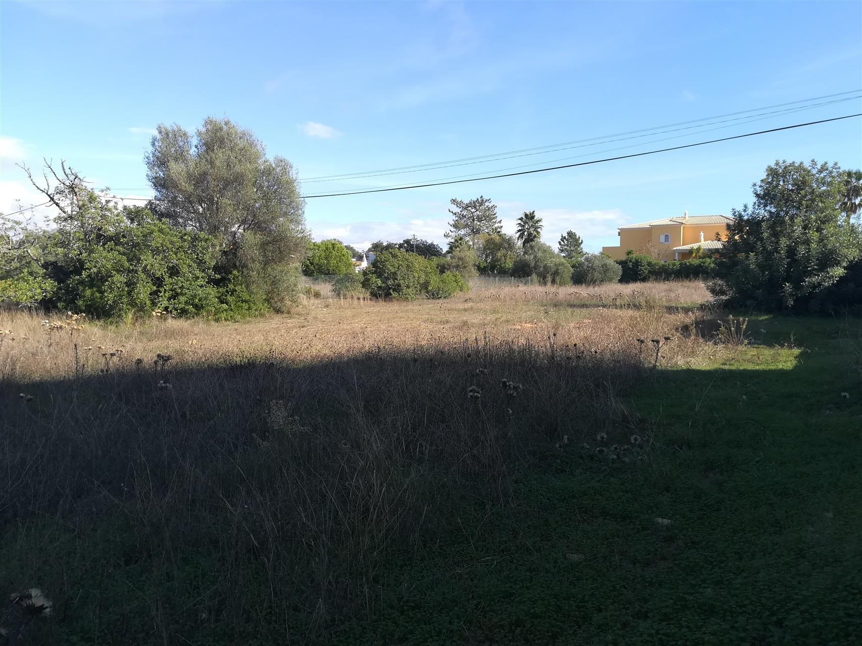 Terreno Para Construção  Venda em Almancil,Loulé