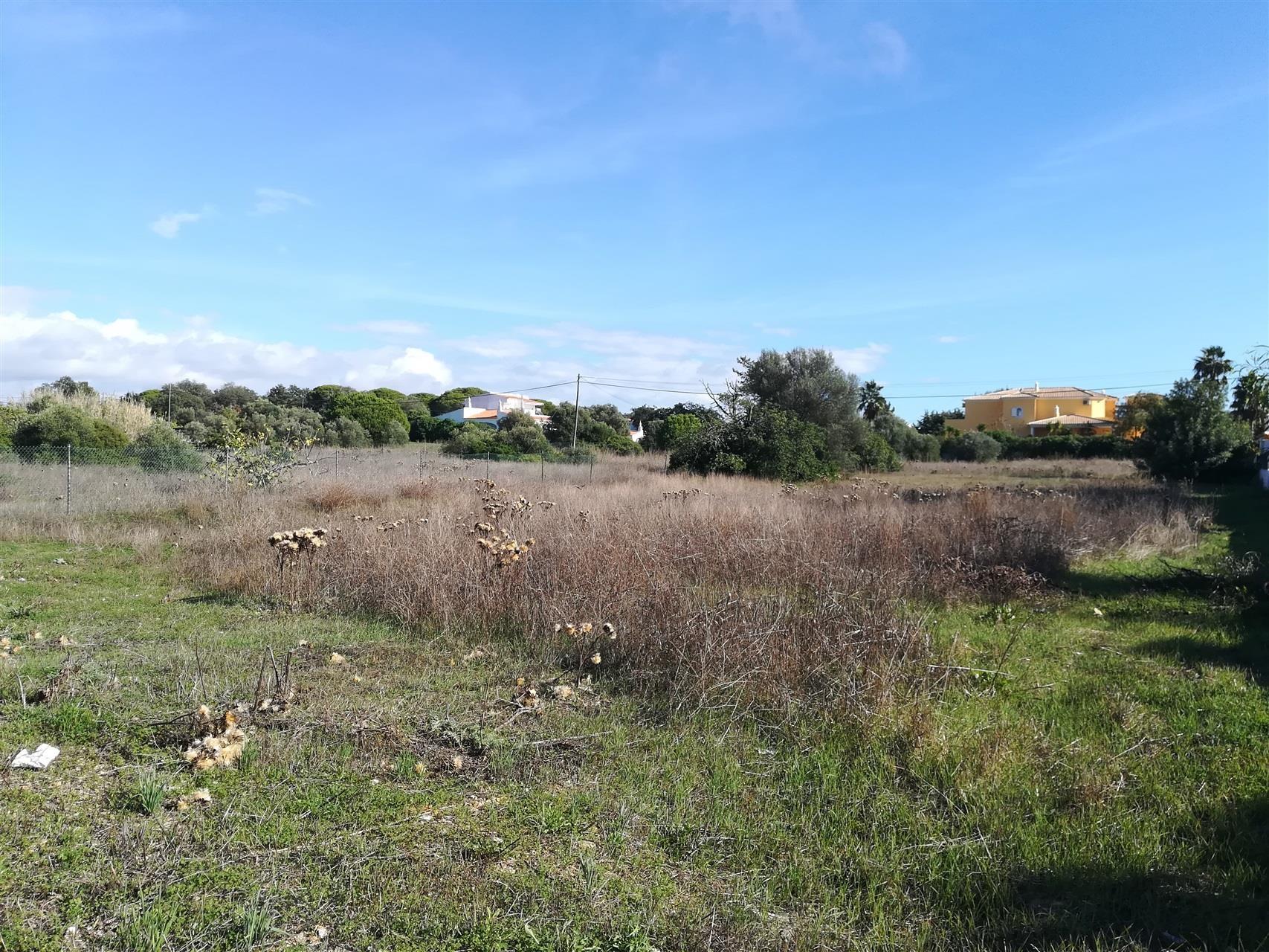 Terreno Para Construção  Venda em Almancil,Loulé