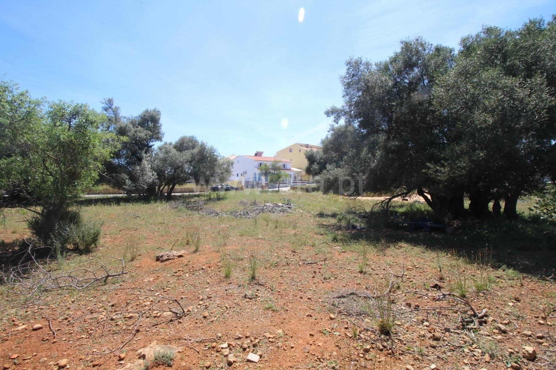 Terreno Para Construção  Venda em Almancil,Loulé