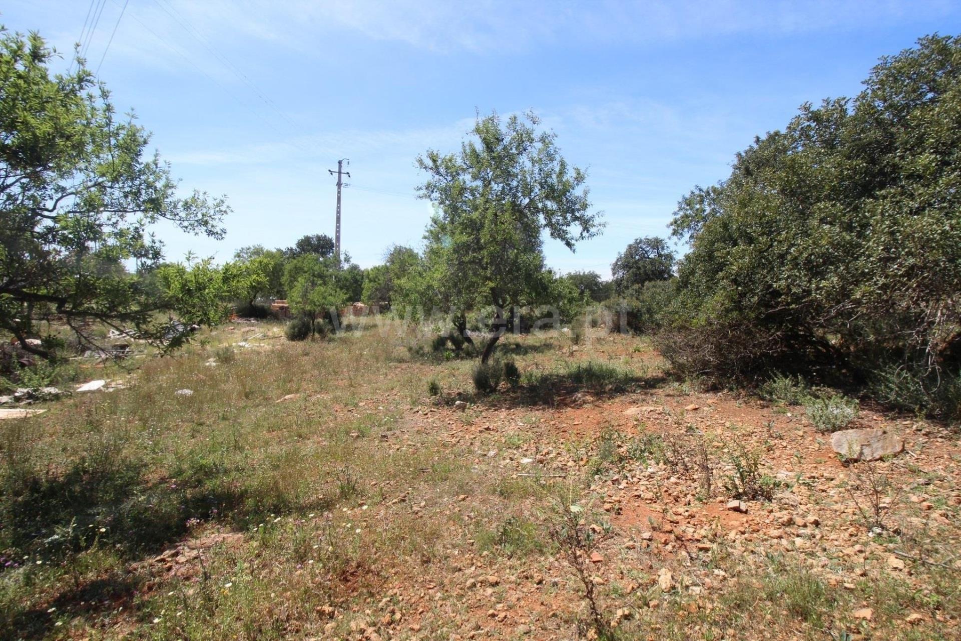 Terreno Para Construção  Venda em Almancil,Loulé