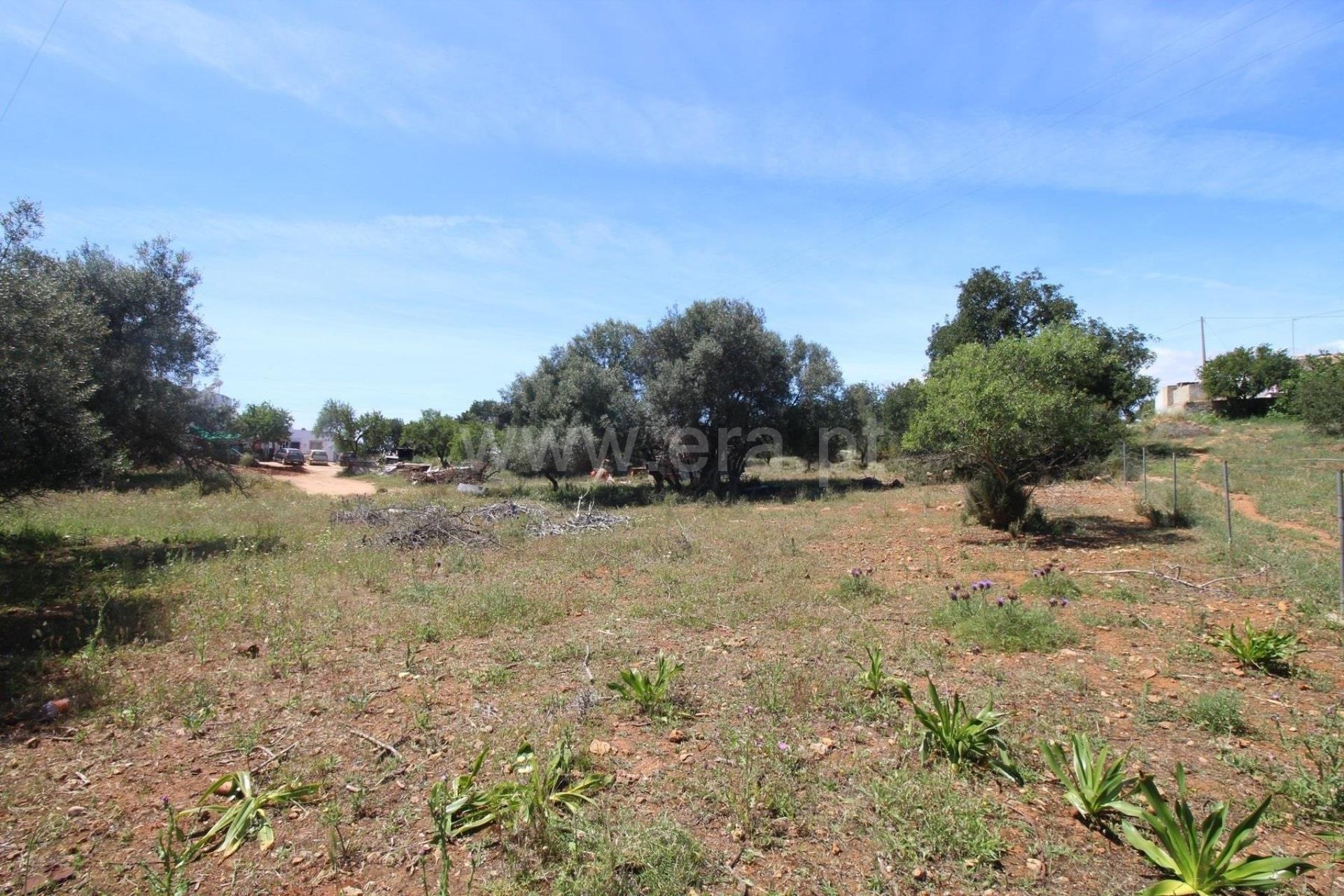 Terreno Para Construção  Venda em Almancil,Loulé