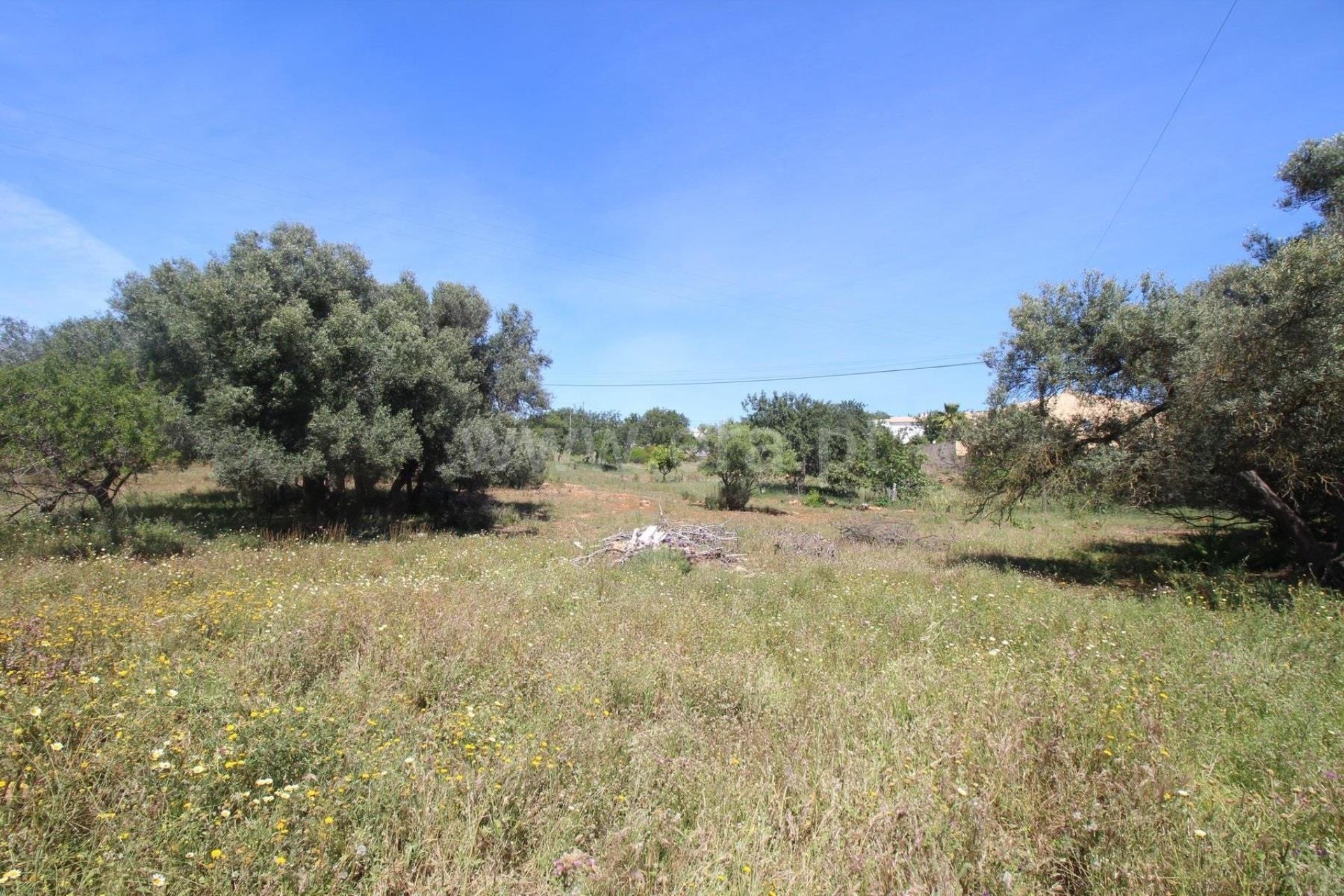 Terreno Para Construção  Venda em Almancil,Loulé