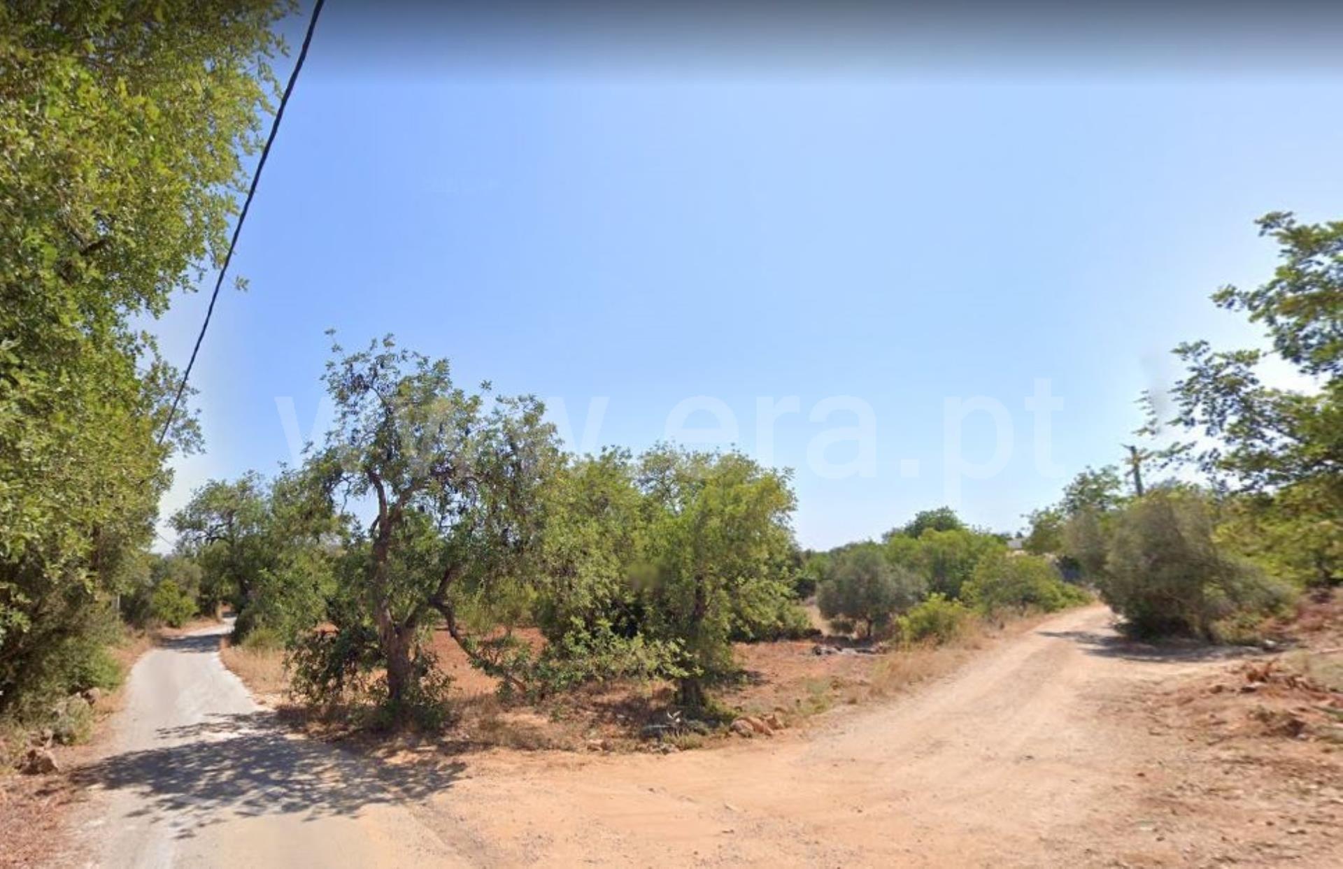 Terreno Rústico  Venda em Boliqueime,Loulé