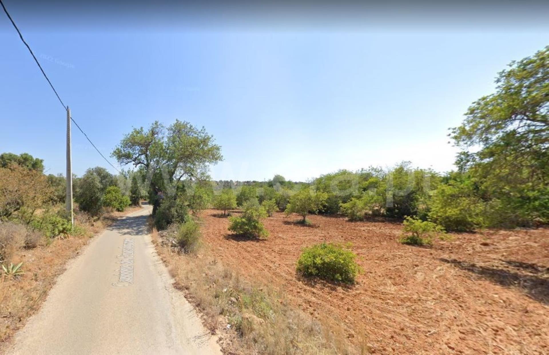 Terreno Rústico  Venda em Boliqueime,Loulé