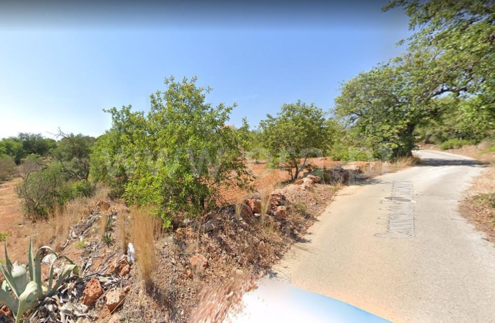 Terreno Rústico  Venda em Boliqueime,Loulé