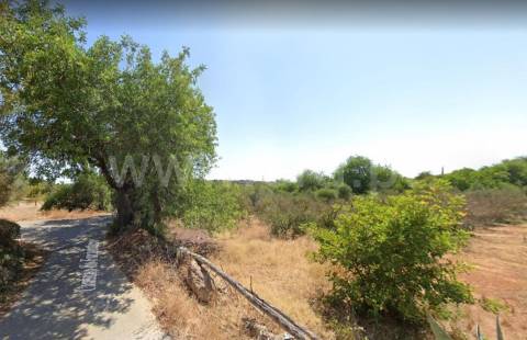 Terreno Rústico  Venda em Boliqueime,Loulé