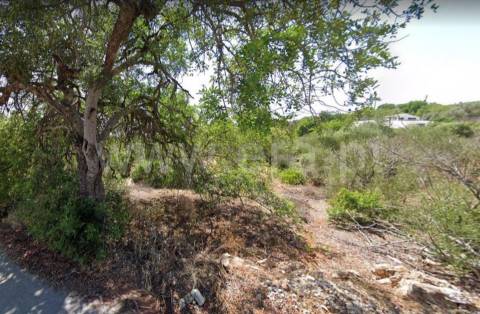 Terreno Rústico  Venda em Boliqueime,Loulé