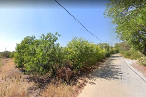 Terreno Rústico  Venda em Boliqueime,Loulé