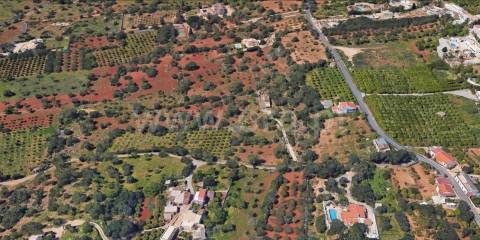 Terreno Rústico  Venda em Boliqueime,Loulé