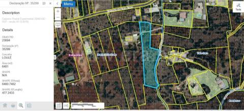 Terreno Rústico  Venda em Boliqueime,Loulé