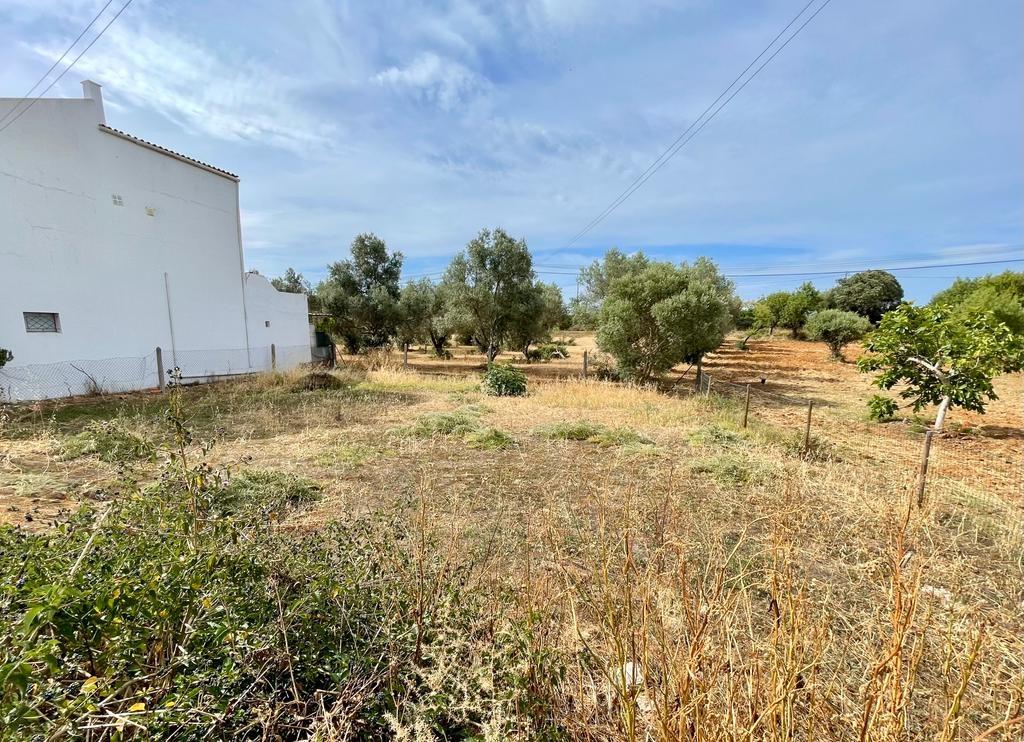 Terreno Urbano  Venda em Almancil,Loulé