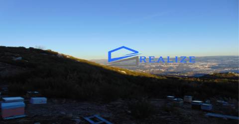 Terra na Pena Vila Real