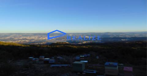 Terra na Pena Vila Real