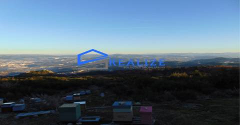 Terra na Pena Vila Real